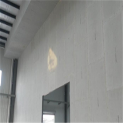 安卓新型建筑材料掺多种工业废渣的ALC|ACC|FPS模块板材轻质隔墙板